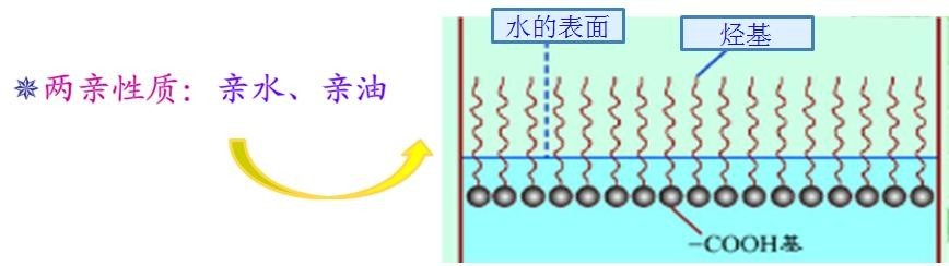 <a href='http://www.fpt57.com/product/product-0001,0011,0018.shtml' class='keys' title='點擊查看關于潤濕劑的相關信息' target='_blank'>潤濕劑</a>